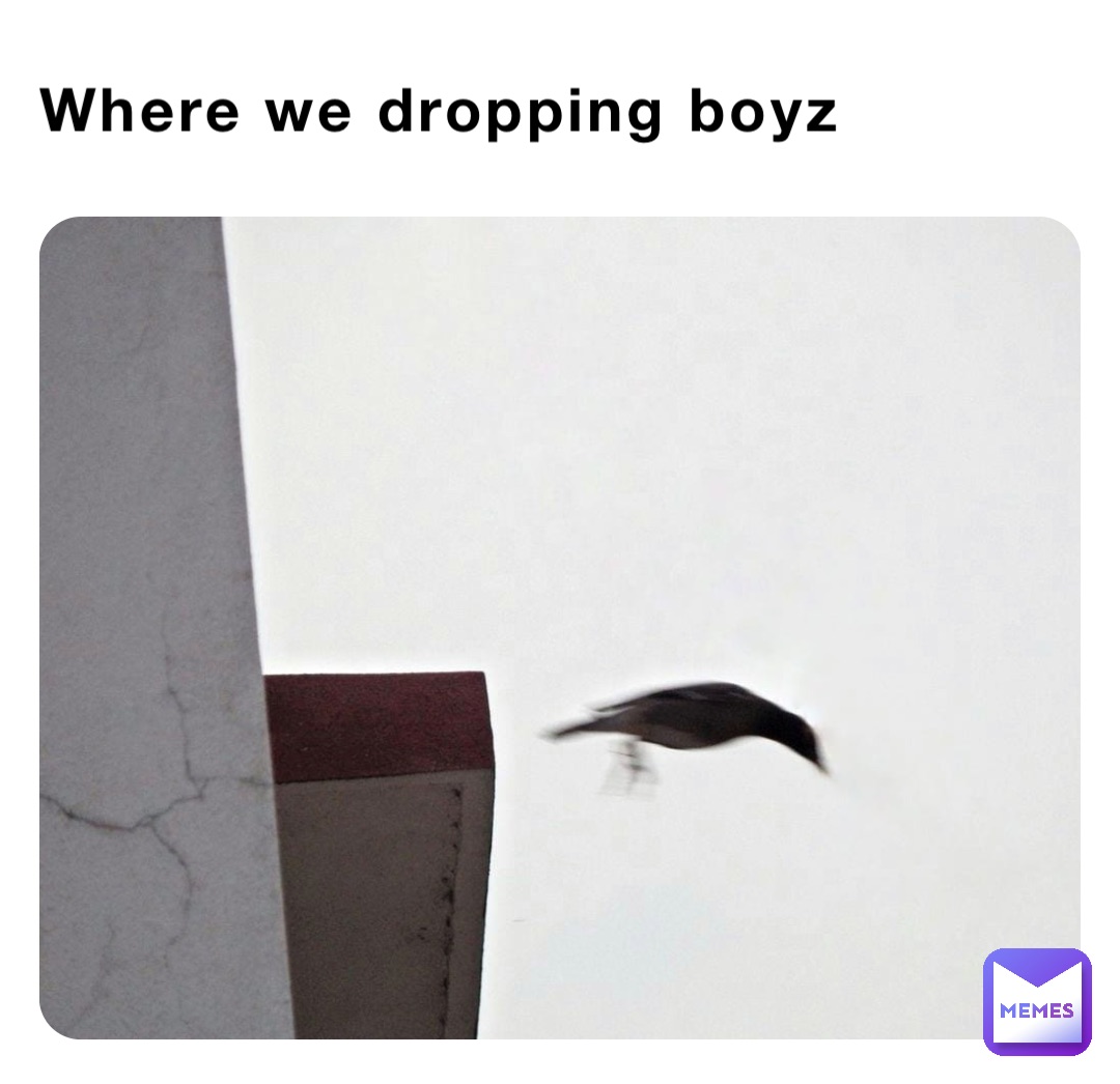 Where we dropping boyz