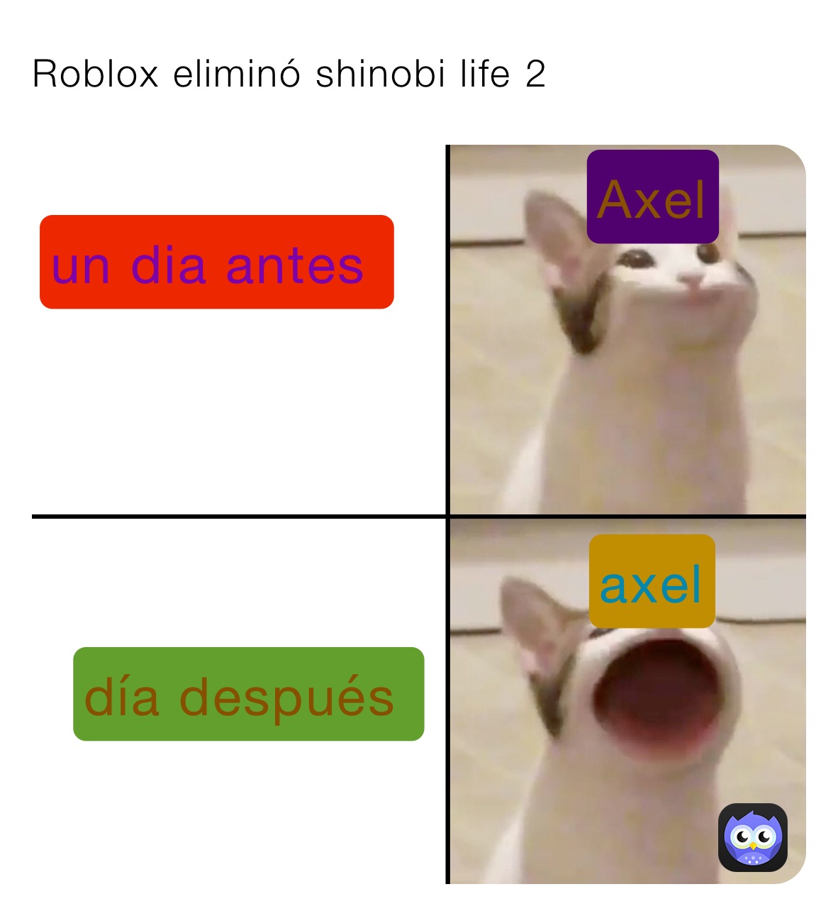 Roblox Elimina Shinobi Life 2 Eydanescobar11 Memes - cat shinobi roblox