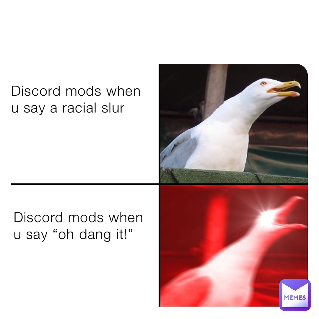 Discord mods when u say a racial slur Discord mods when u say “oh dang it!”