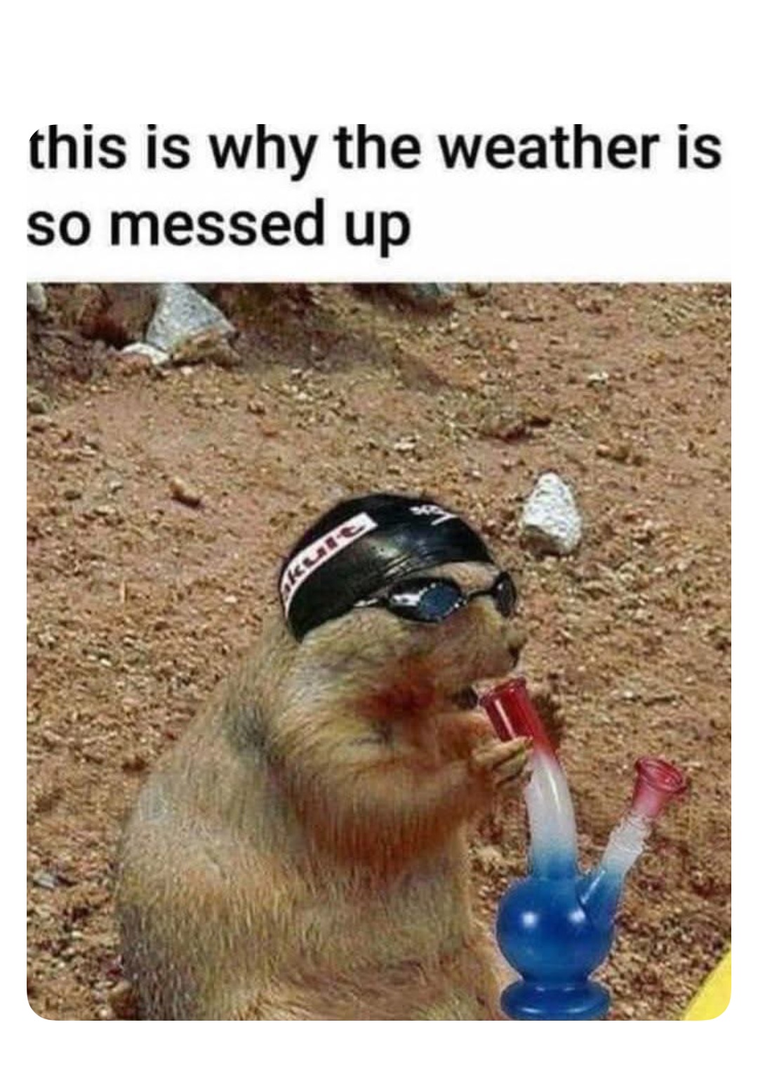 Meme by Cheatthesystem