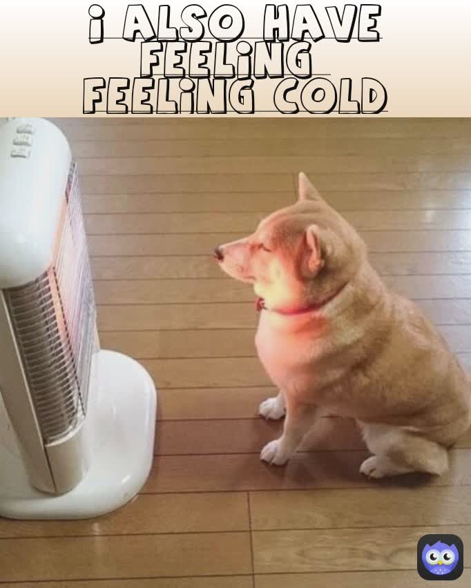 i also have feeling 
feeling cold