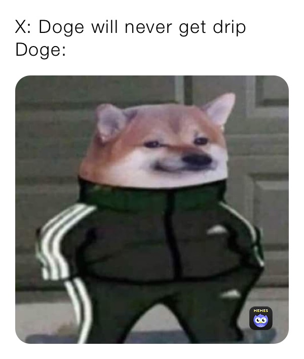 X: Doge will never get drip
Doge: