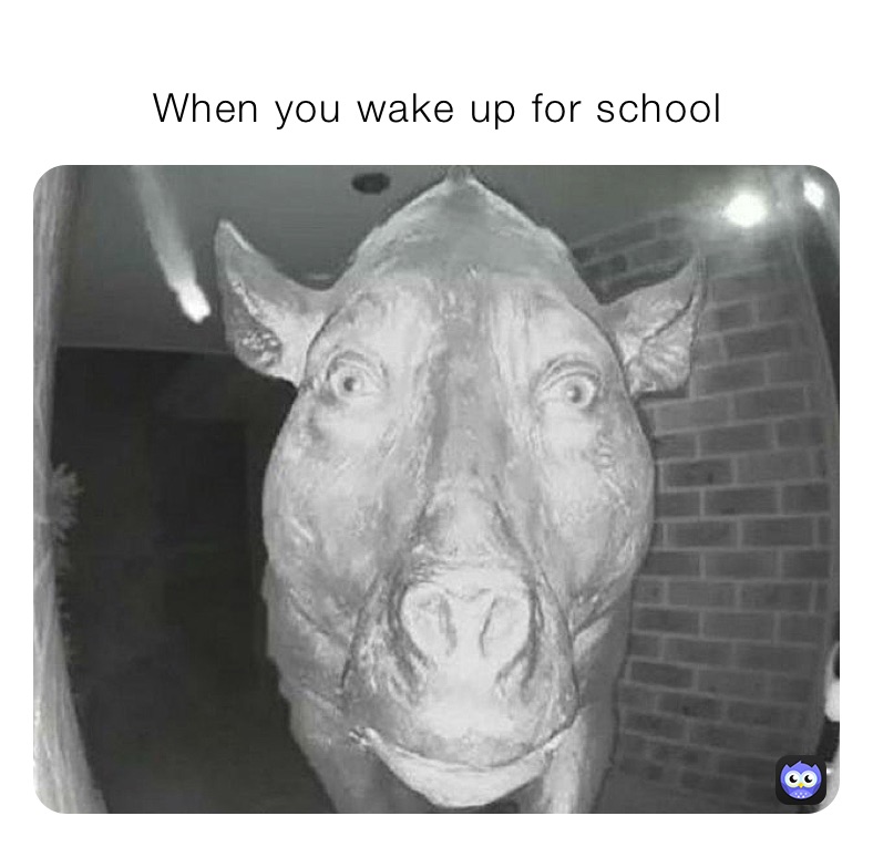        
         When you wake up for school 