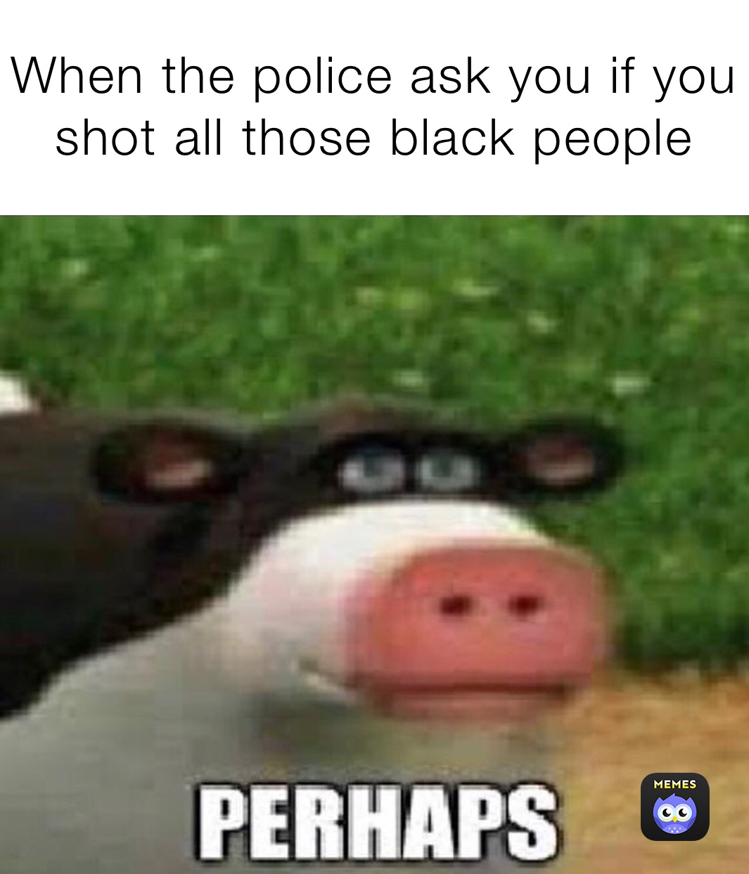 When the police ask you if you shot all those black people 