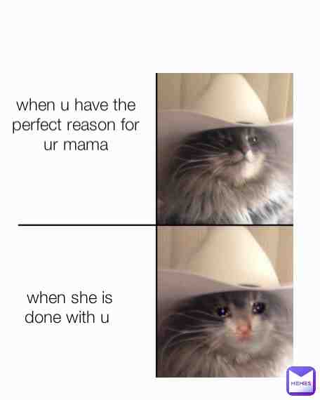 Fact
