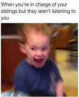 Meme shared by @calvinfrank