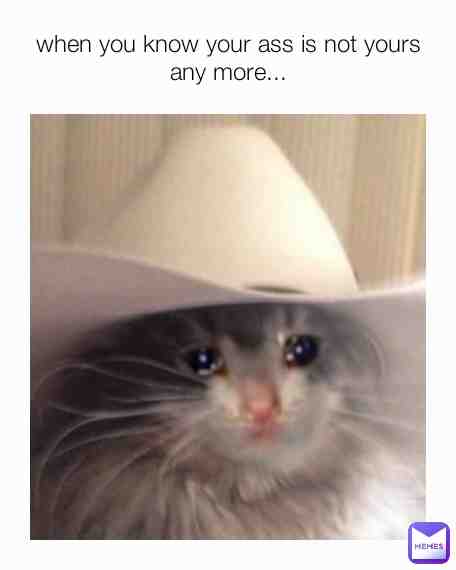 Meme shared by @calvinfrank