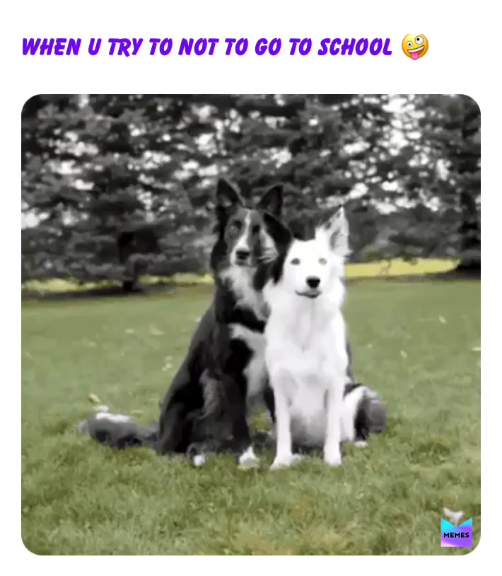 Meme shared by @godly_me_meme