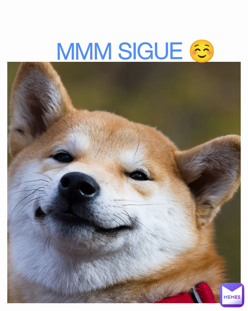 Memes - Find and Share | Memes, image size:1022x1278