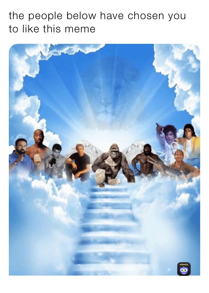the people below have chosen you to like this meme 