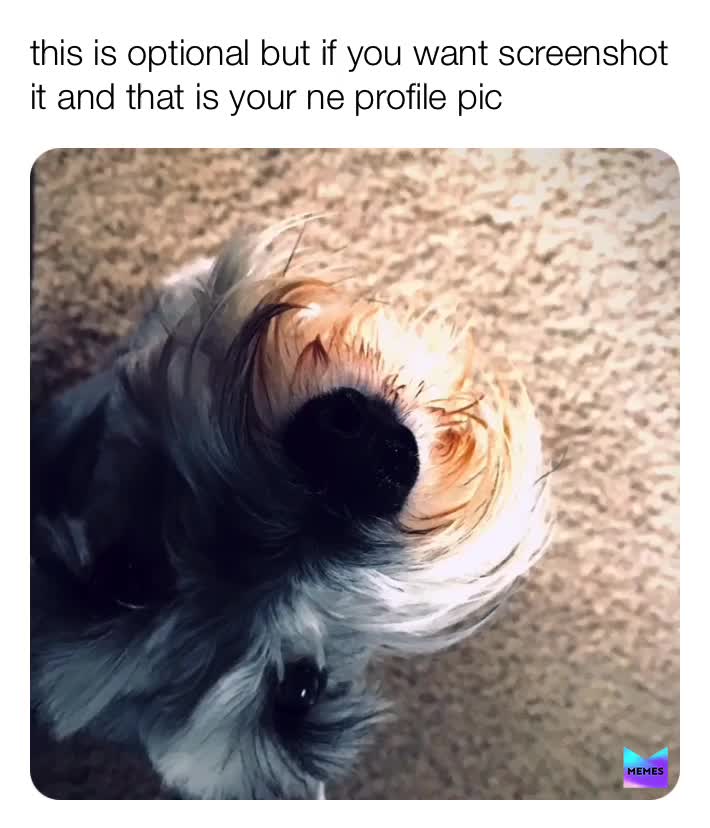 Meme shared by @Praise_god
