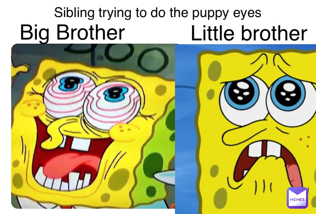 Sibling trying to do the puppy eyes Big Brother Little brother