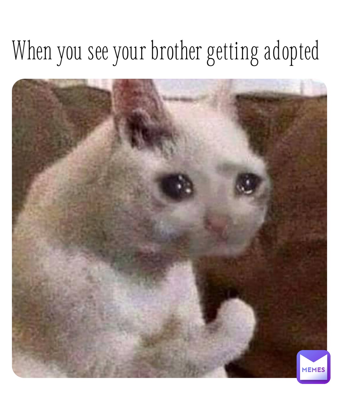 When you see your brother getting adopted