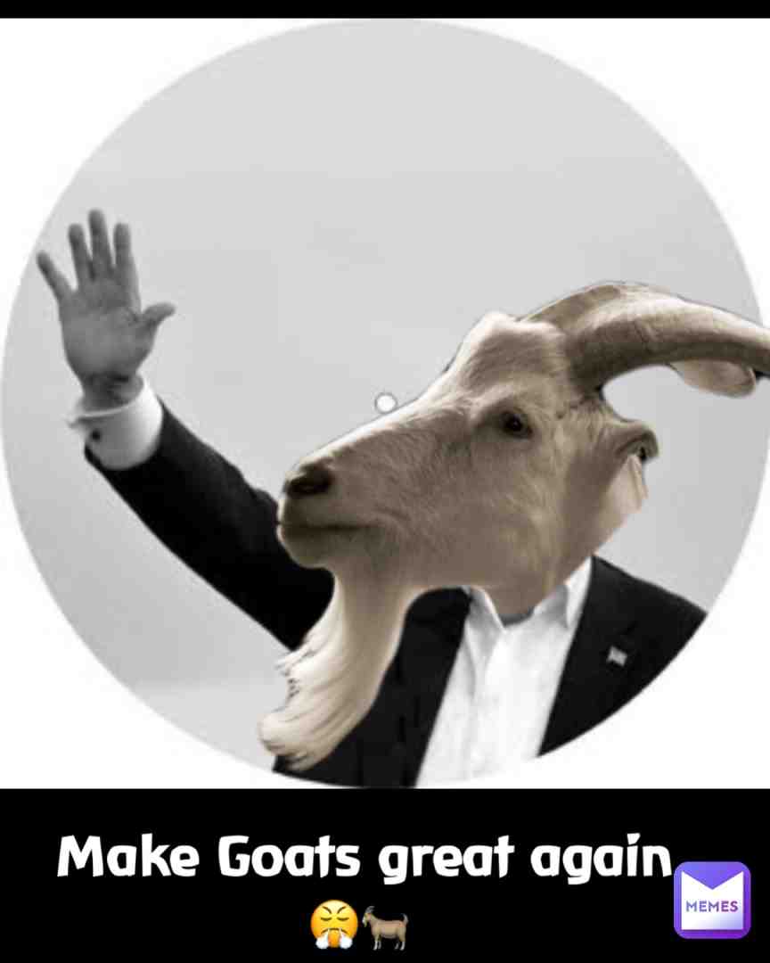 Make goats great again 🐐