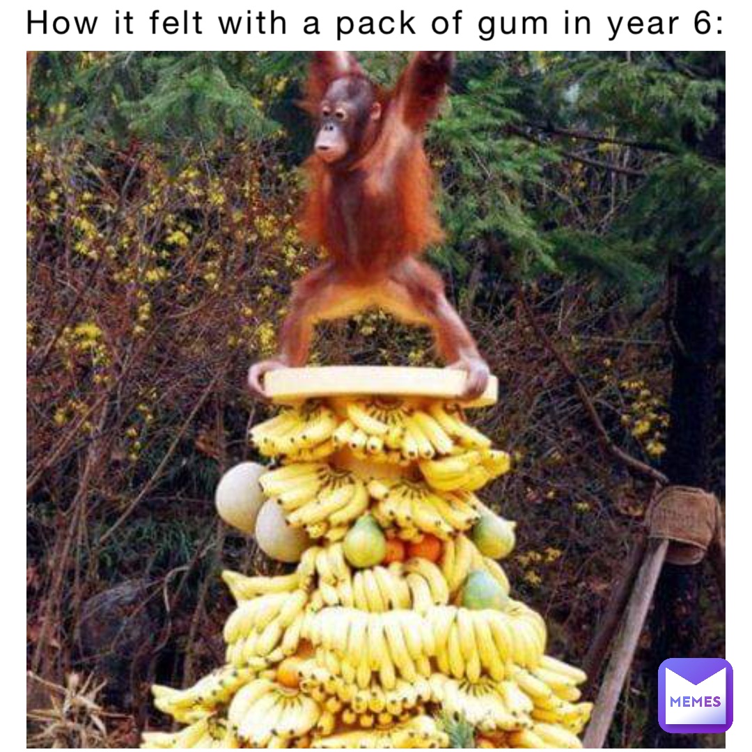 How it felt with a pack of gum in year 6: