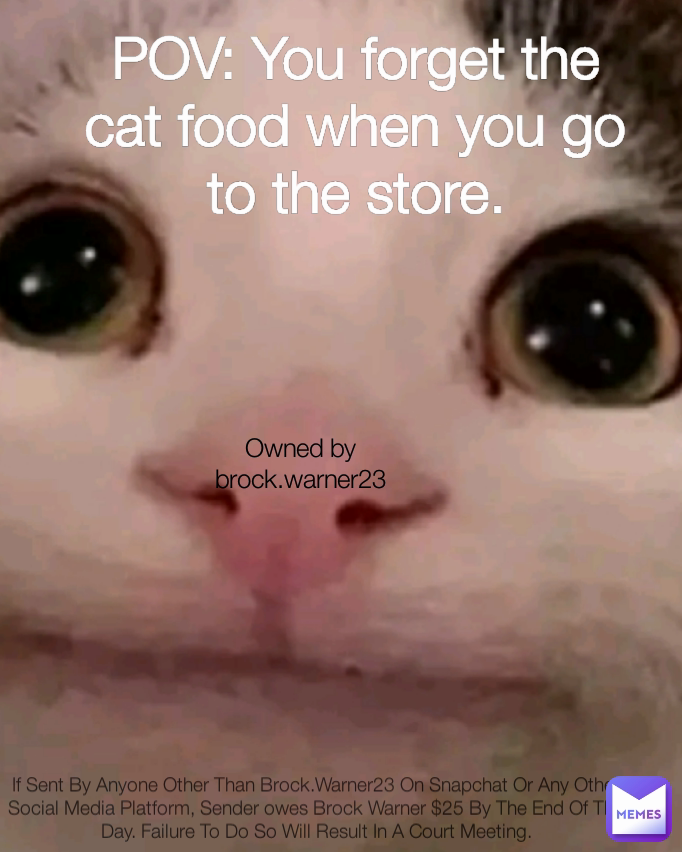 Meme by brock-warner