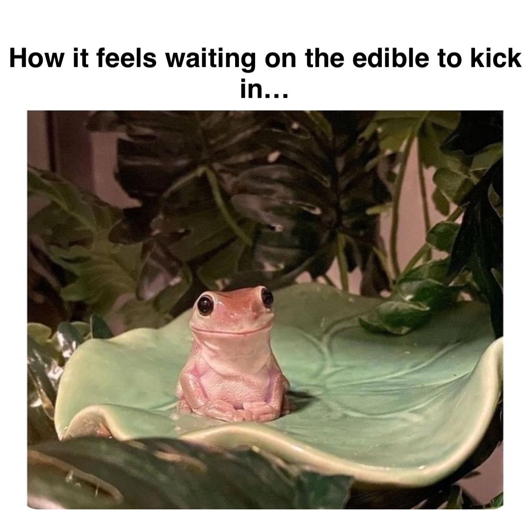 Double tap to edit How it feels waiting on the edible to kick in…