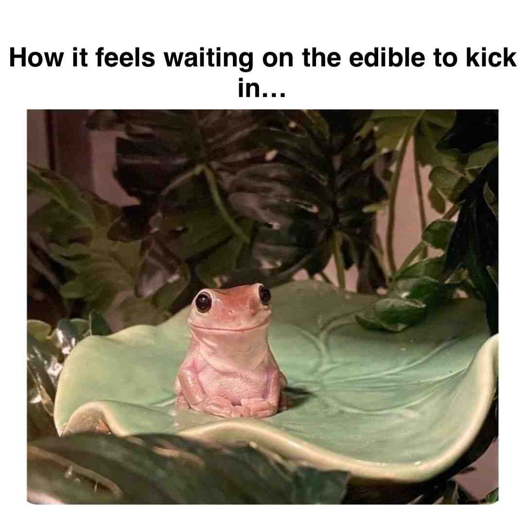 Meme shared by @Fresh_squeezed_memes