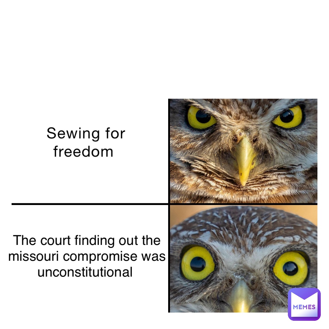 Meme by ehdbsjdifjfj