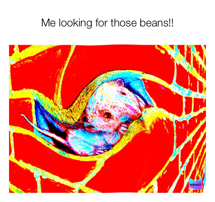 Meme by me_me_me_me_me_me