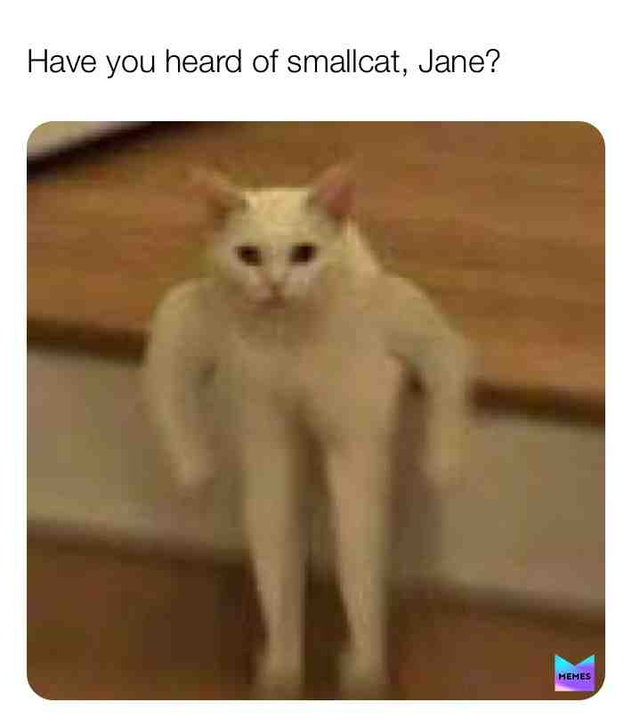 Smallcat is love, smallcat is life.