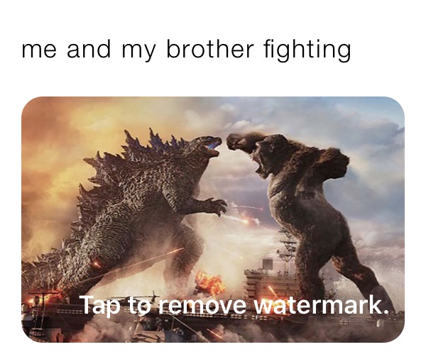 me and my brother fighting