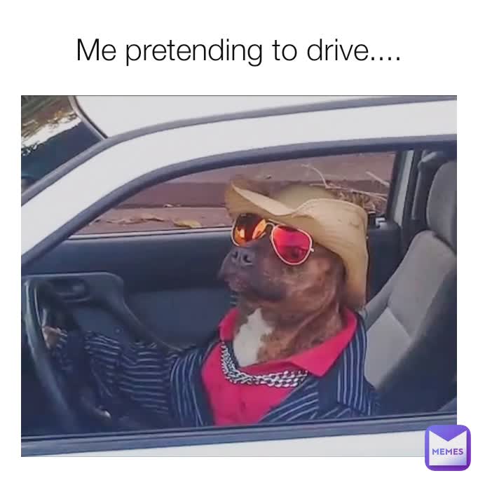 Me pretending to drive....