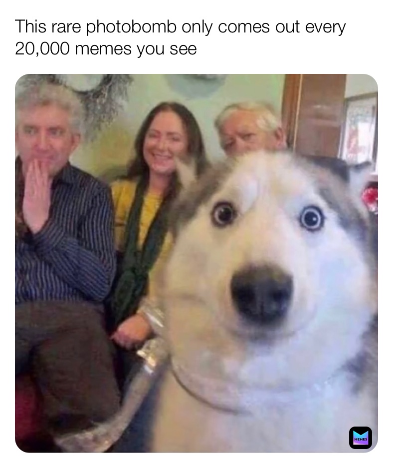 This rare photobomb only comes out every 20,000 memes you see 