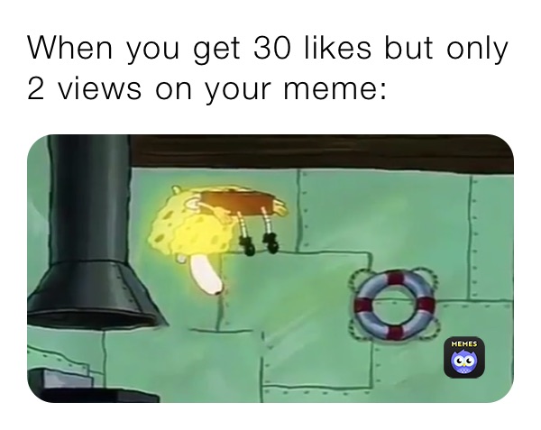 When you get 30 likes but only 2 views on your meme: