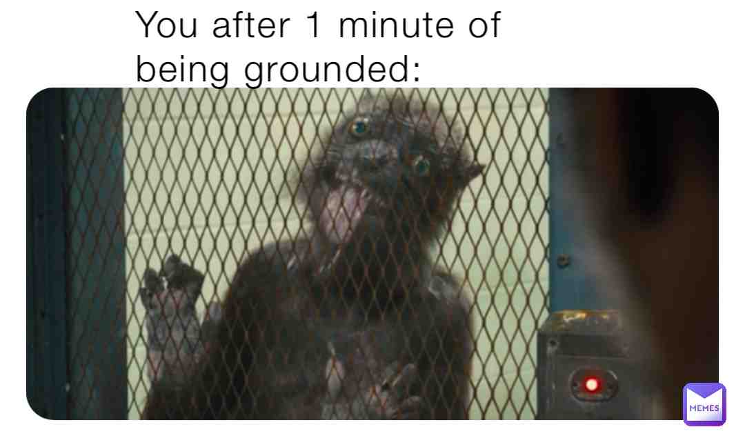 #relateable #cwnyourelate #growingupblack