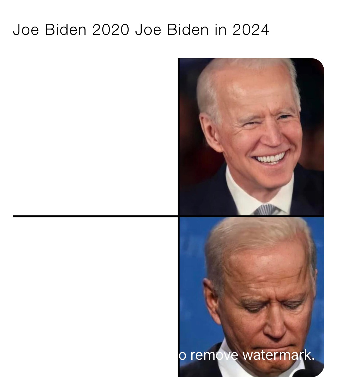 Joe Biden Joe in 2024 | @Sethgoodin55 | Memes