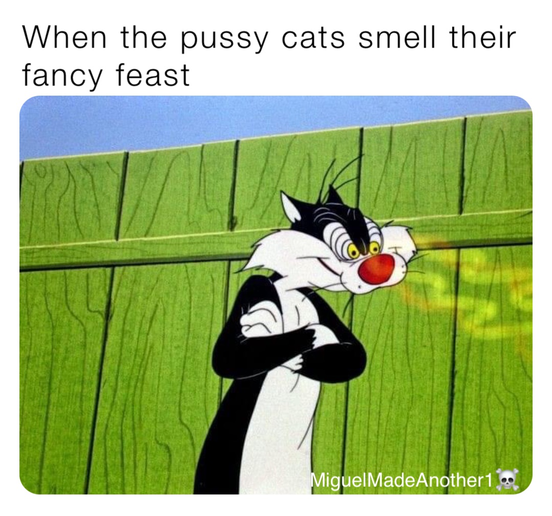When the pussy cats smell their fancy feast MiguelMadeAnother1☠️