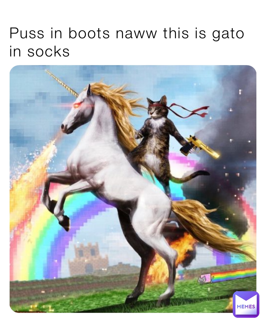 Puss in boots naww this is gato in socks