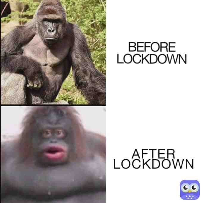 Meme preview