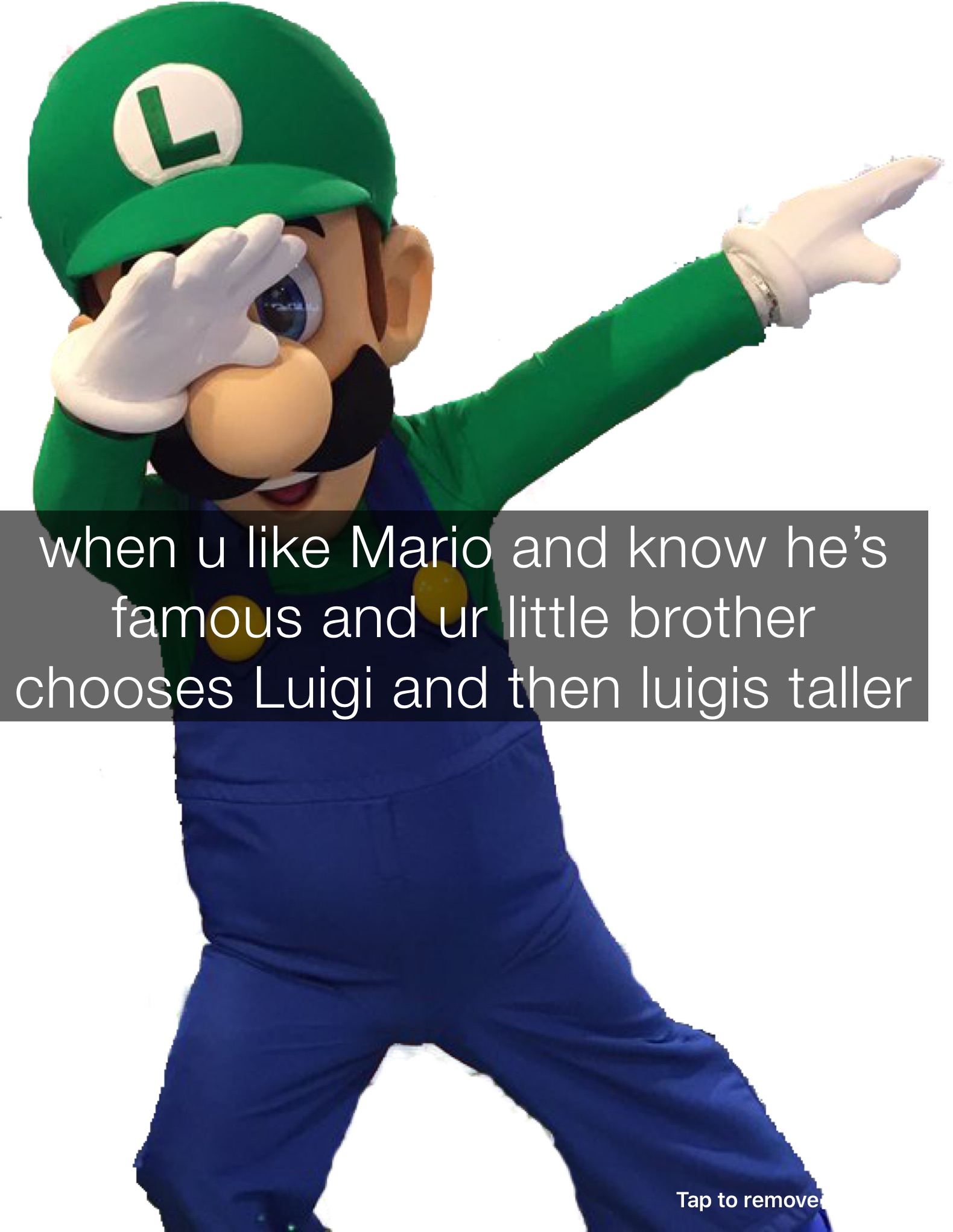when u like Mario and know he’s famous and ur little brother chooses Luigi and then luigis taller 