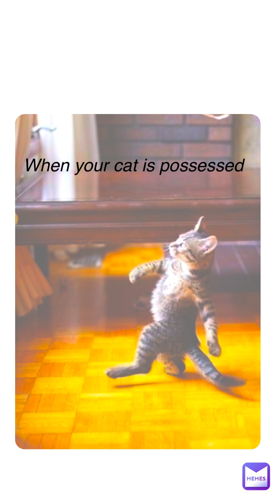 Double tap to edit When your cat is possessed