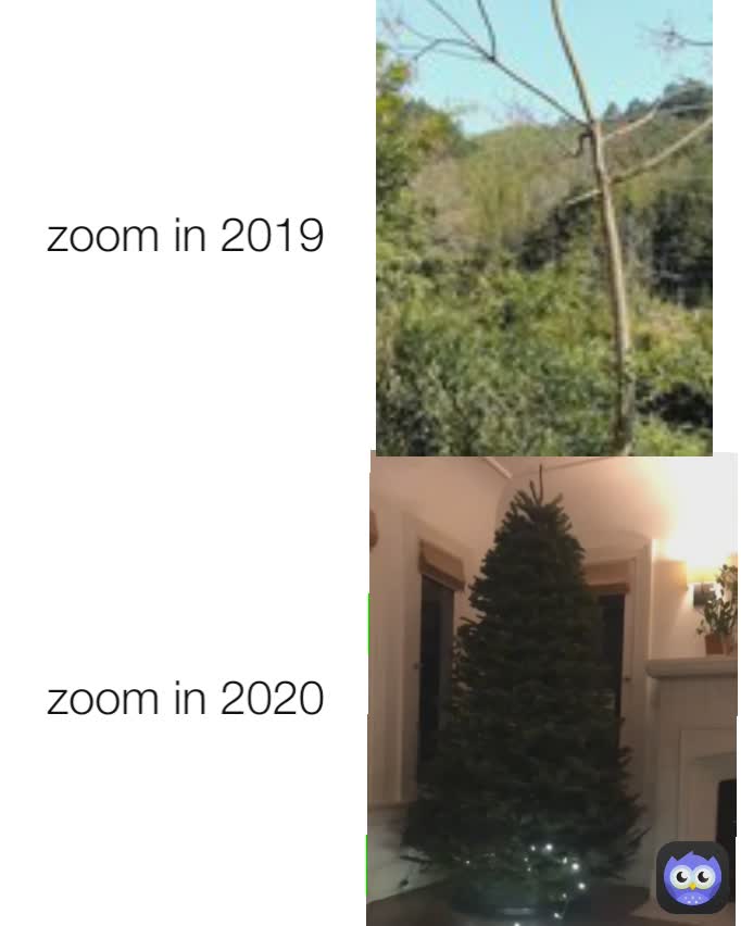 zoom in 2020 zoom in 2019