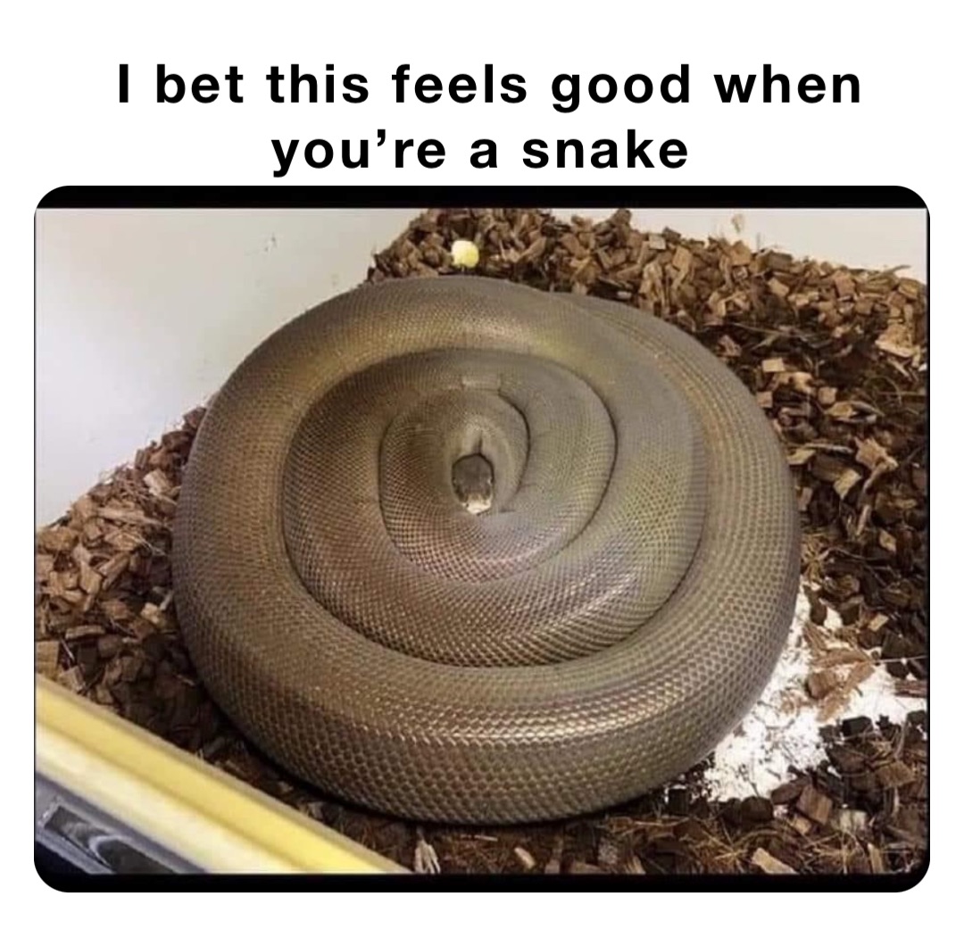 I bet this feels good when you’re a snake