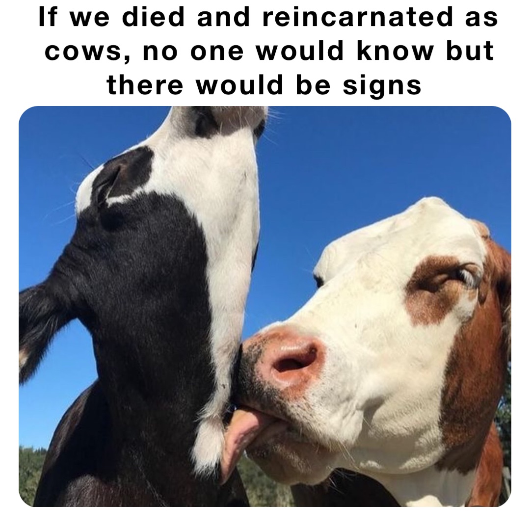 If we died and reincarnated as cows, no one would know but there would be signs