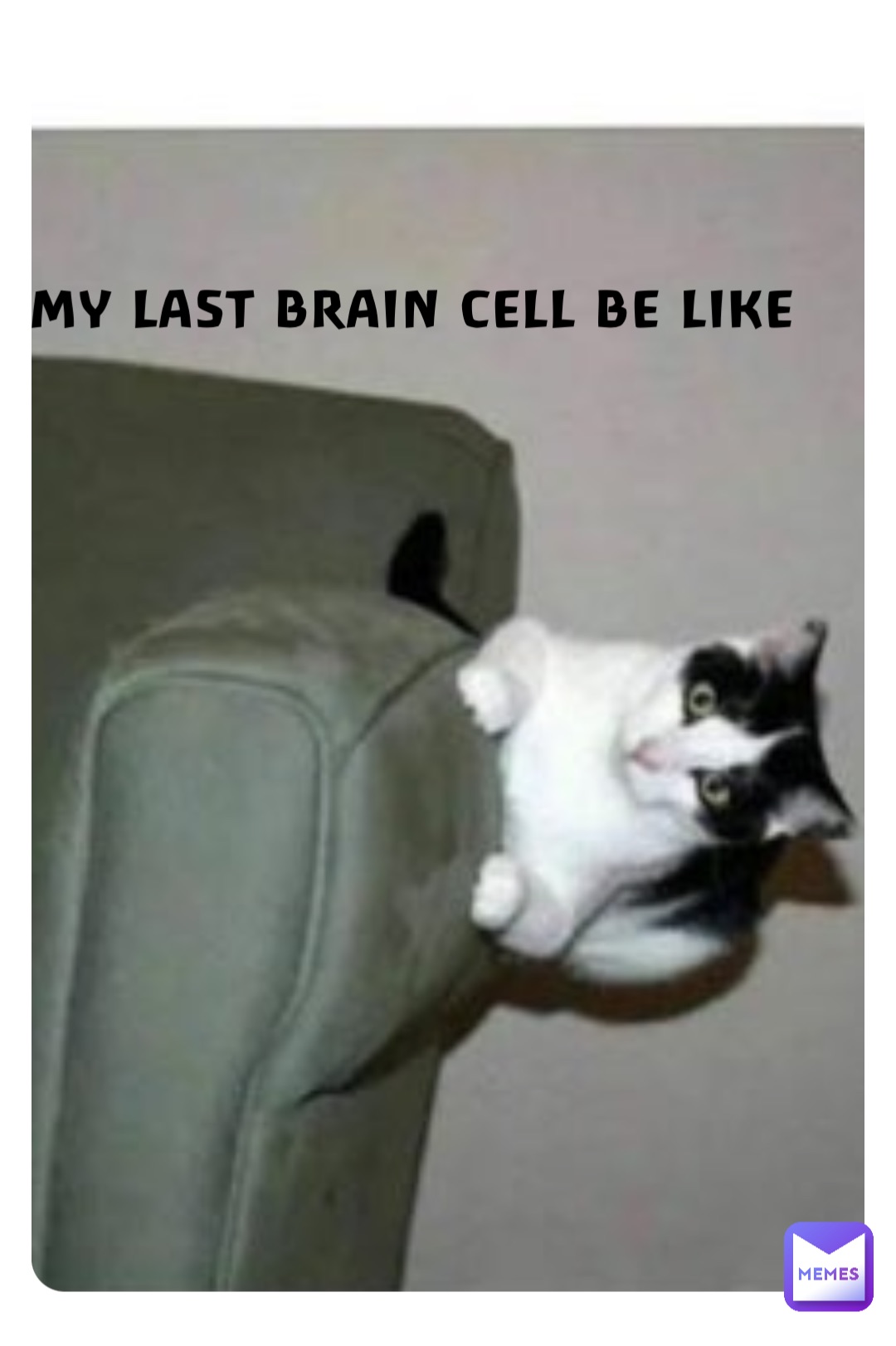 My last brain cell be like