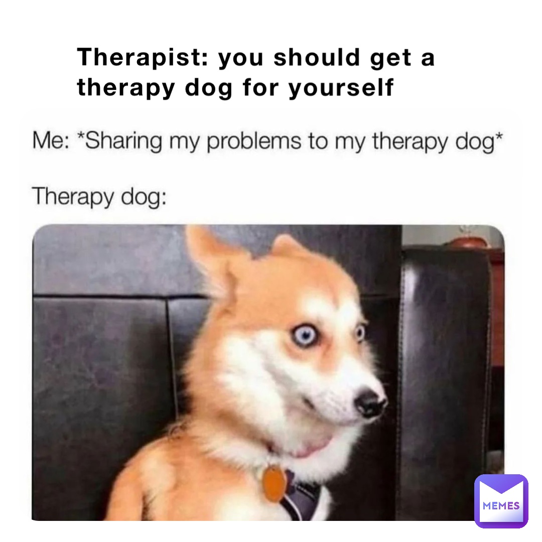 Therapist: you should get a therapy dog for yourself