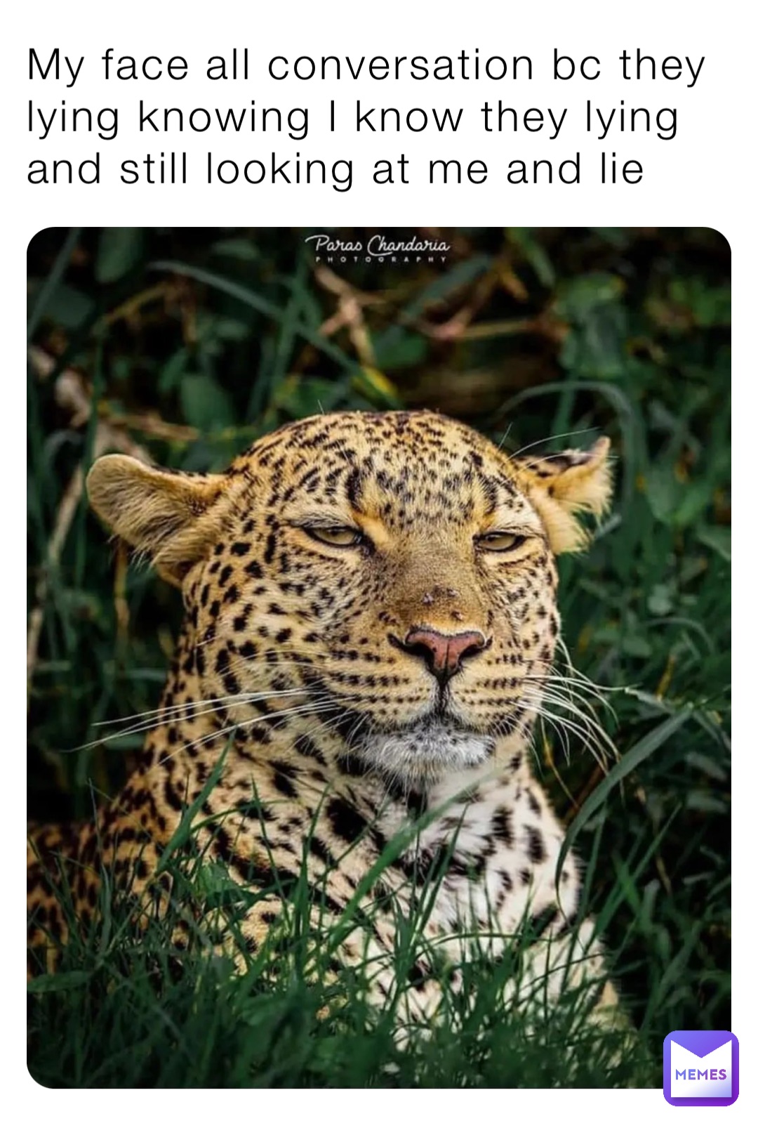 My face all conversation bc they lying knowing I know they lying and still looking at me and lie