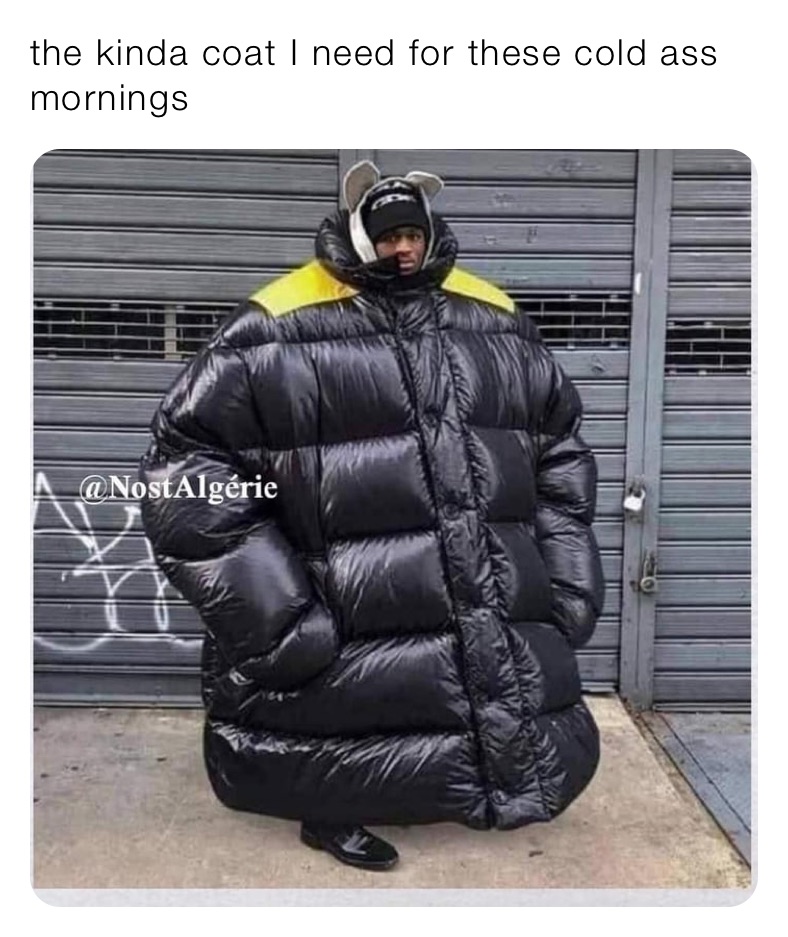 Post by @inmyswamp | Memes