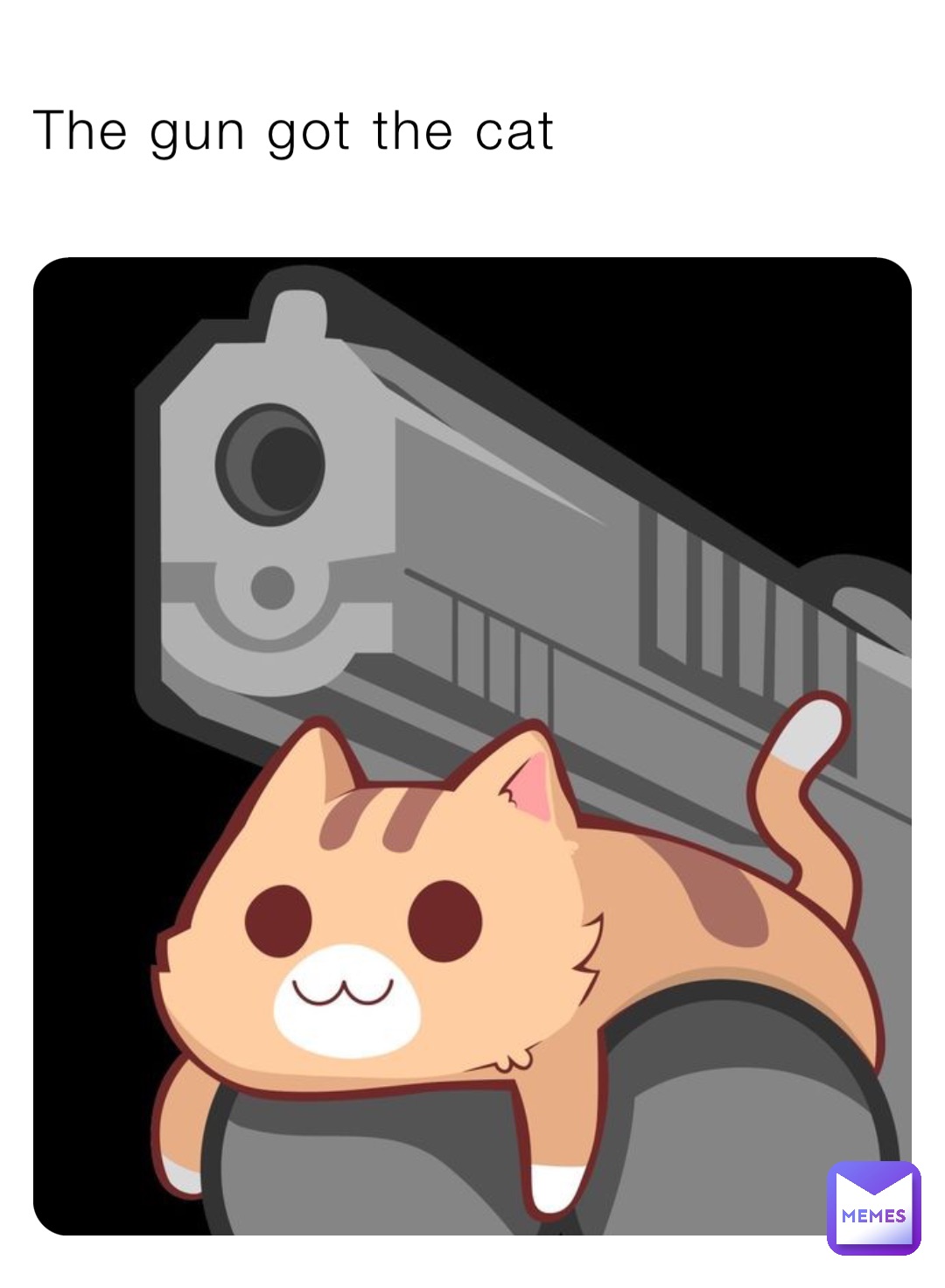 The gun got the cat