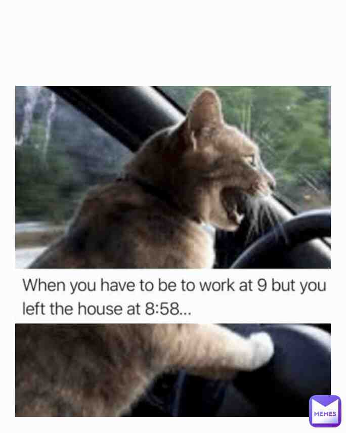 Meme shared by @abcdboy