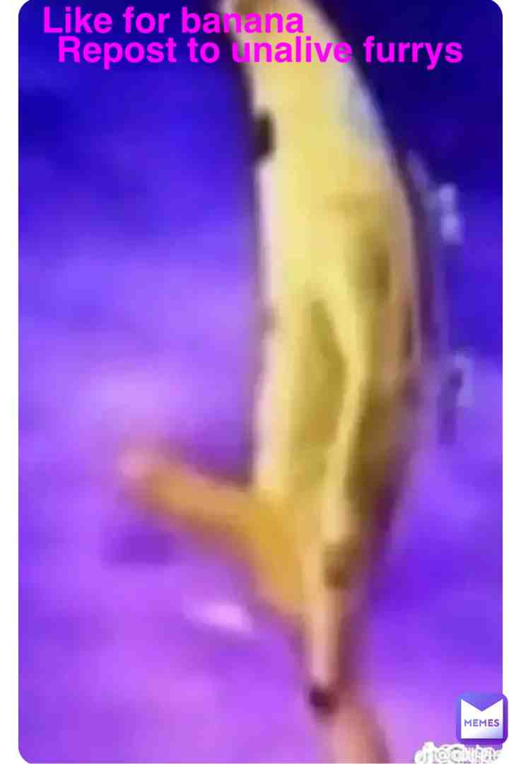 Meme shared by @nerdb0i