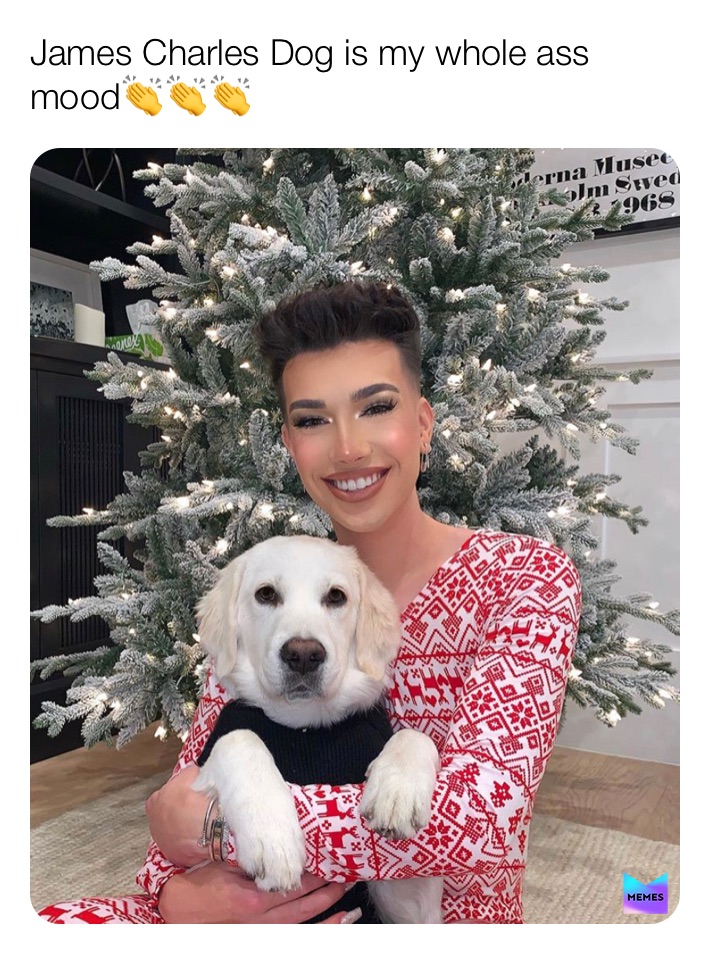 Meme by im_just_zara