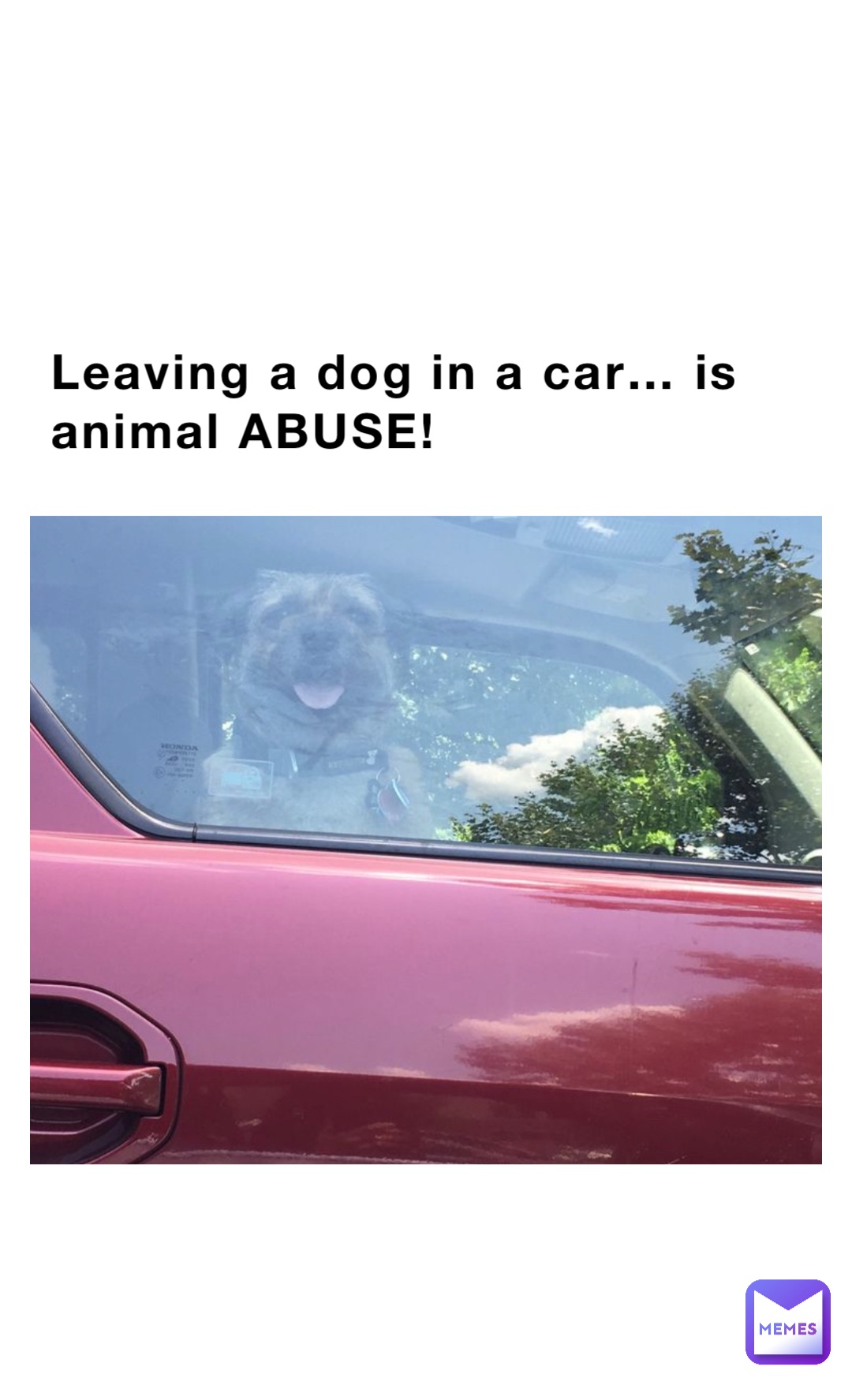 Leaving a dog in a car… is animal ABUSE!