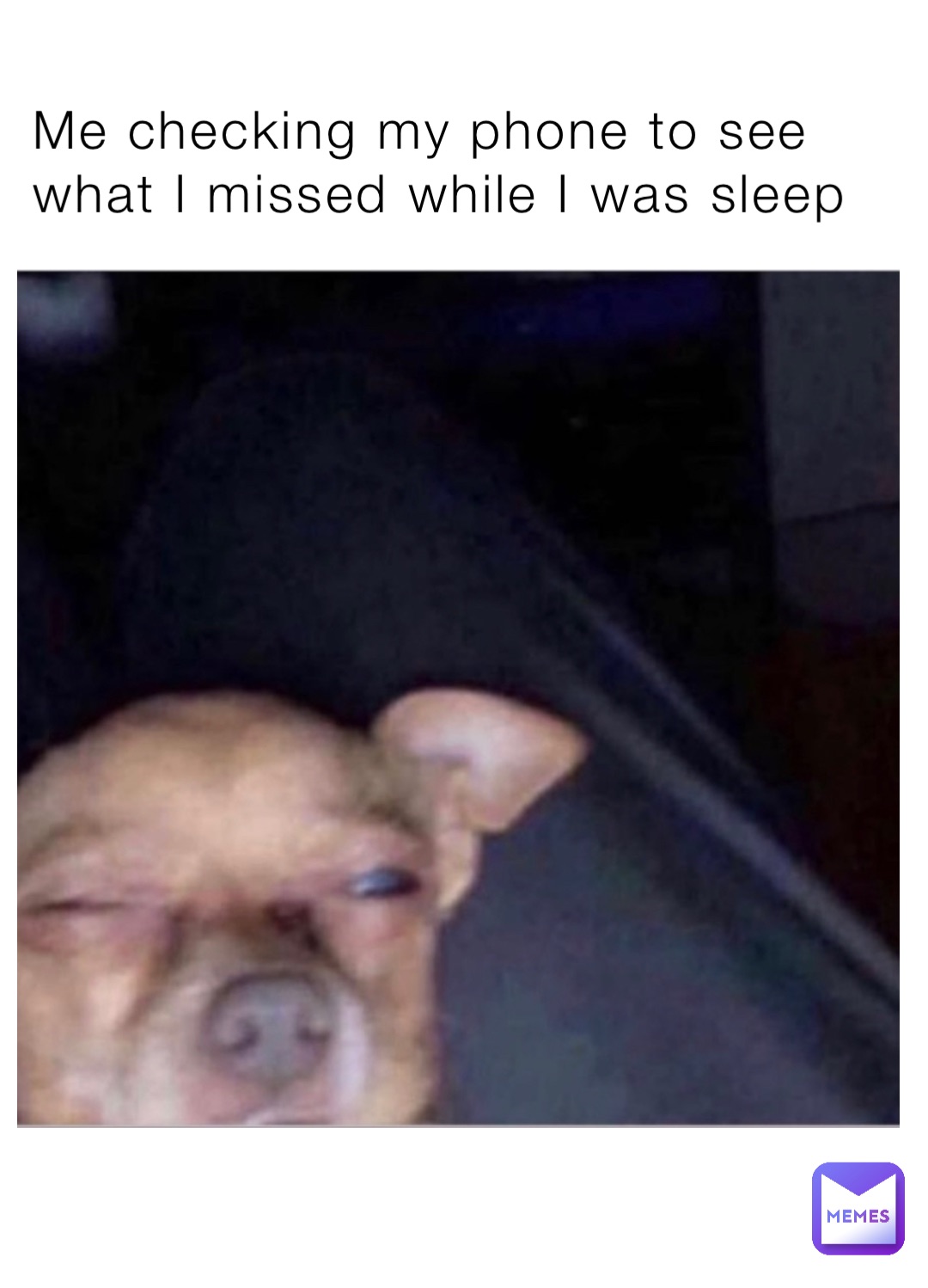 Me checking my phone to see what I missed while I was sleep