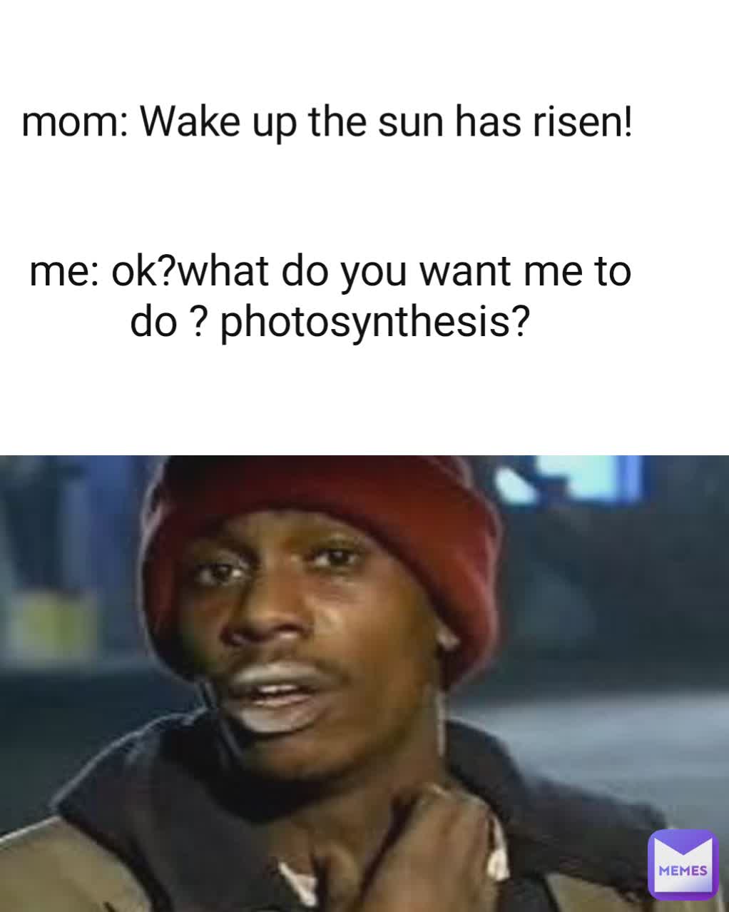 mom: Wake up the sun has risen! me: ok?what do you want me to do ? photosynthesis?